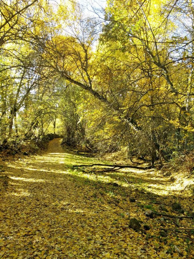 La Majada De Alameda Βίλα Alameda del Valle Εξωτερικό φωτογραφία